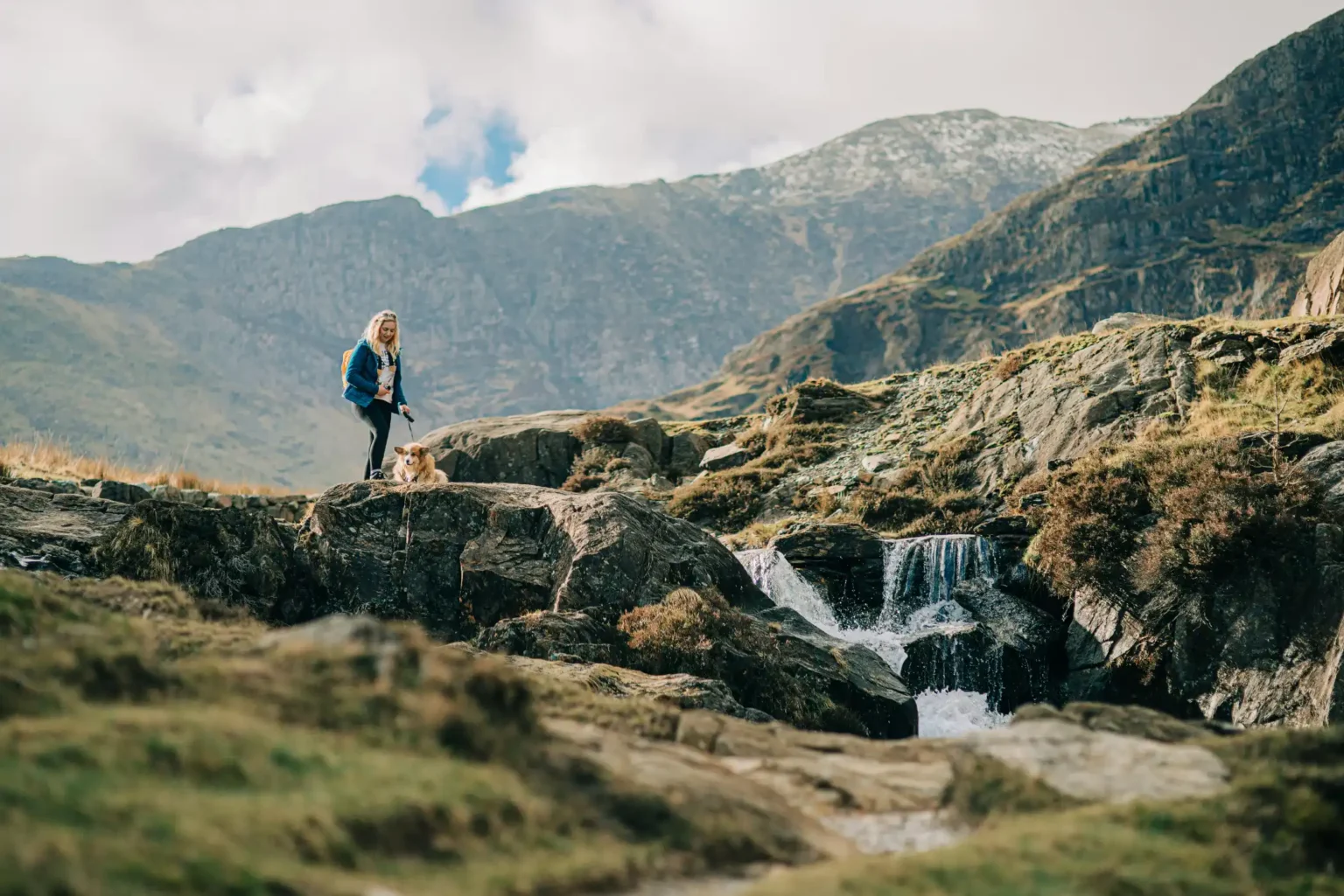alexander-andrews-C-Cirku0Ei0-unsplash
