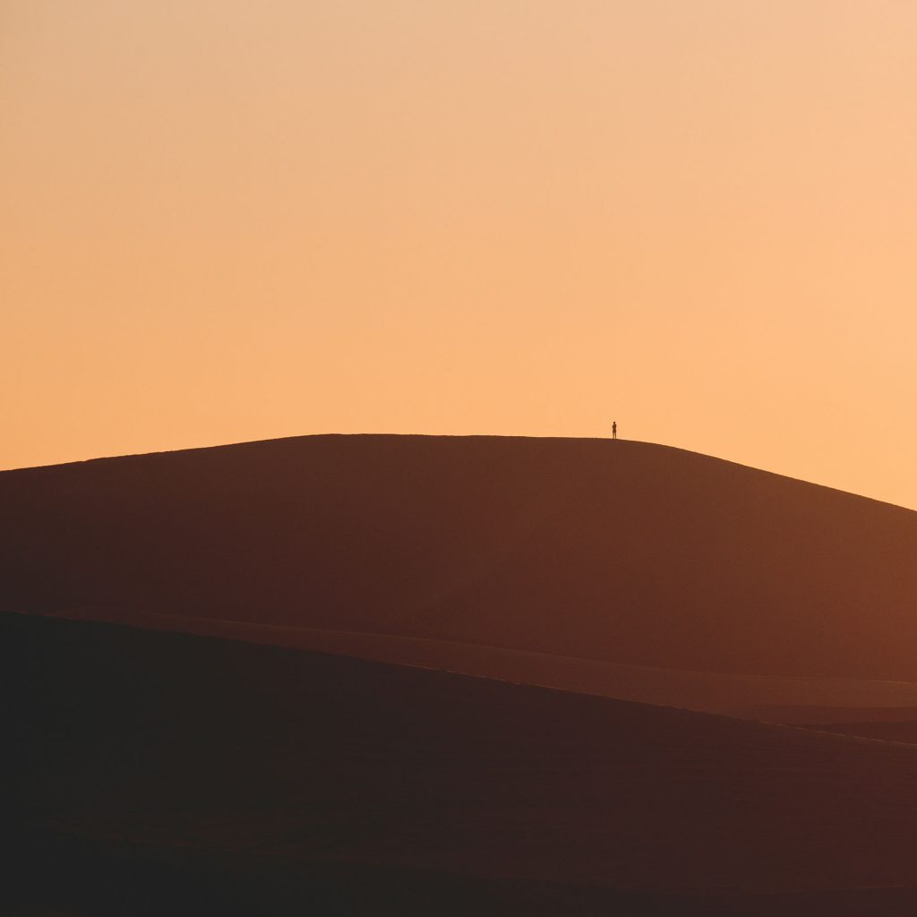 thiago-rocha-IzeOmhrYzhY-unsplash