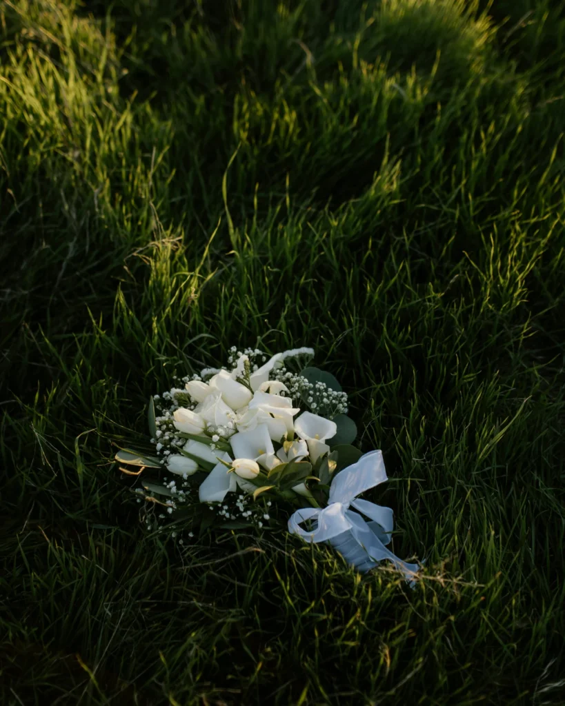 stephanie-hernandez-VuVfmE-s2Ys-unsplash