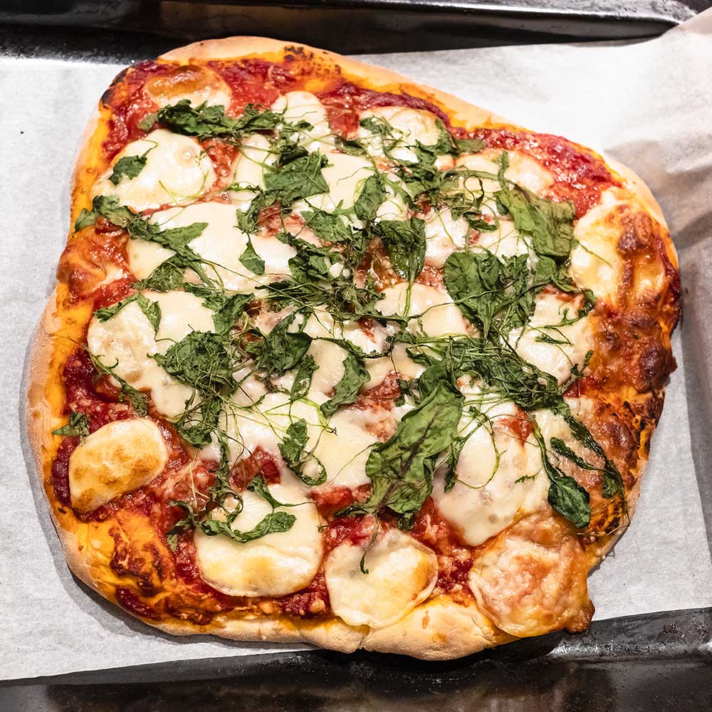 homemade pizza with sliced Mozzarella cheese and green herbs on oven tray in home kitchen