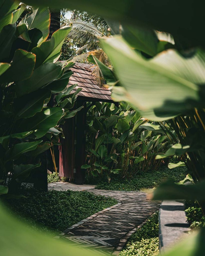 nicolas-spehler-_P1_c51XnB4-unsplash