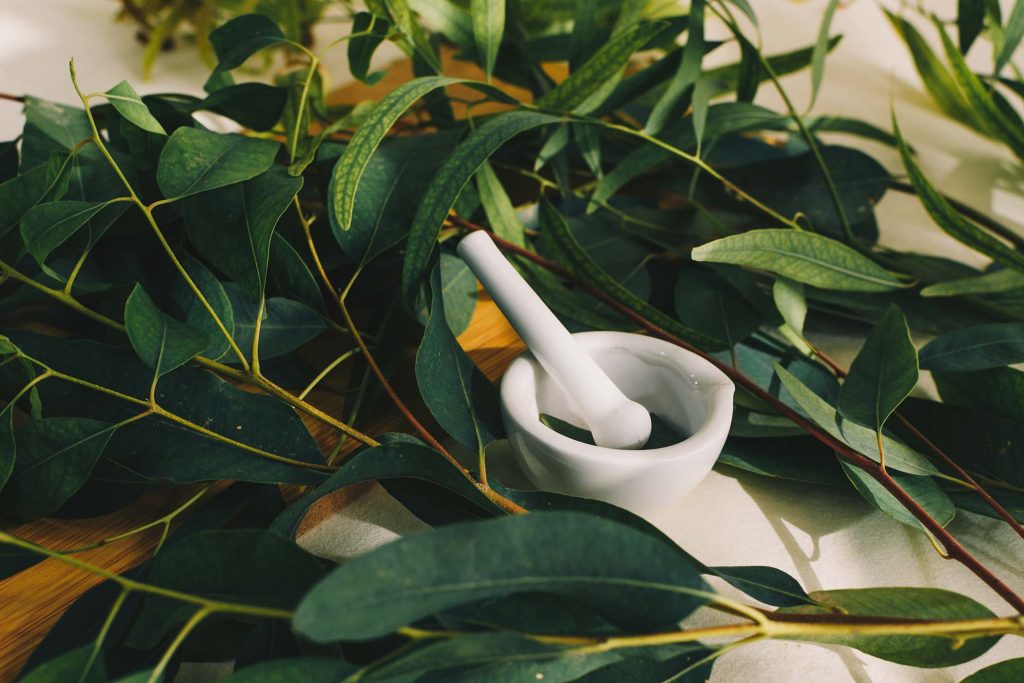 A small white ceramic mortar, with eucalyptus leaves - beauty and spa concept
