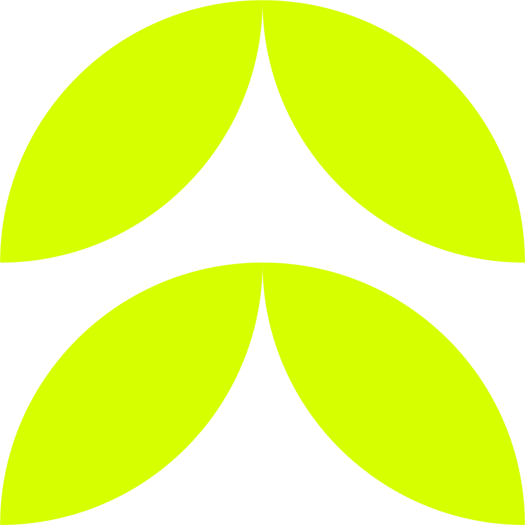 shape-iconAsset 9
