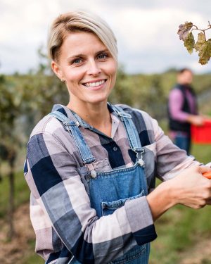 Portrait of woman worker collecting grapes in vineyard in autumn, harvest concept.